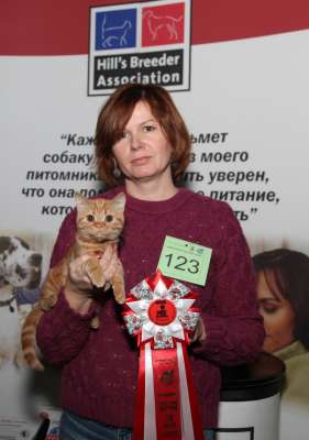 �������� ����� '������� ���-�����' 30 ������-1 ������� 2013., WCF-����� 3902